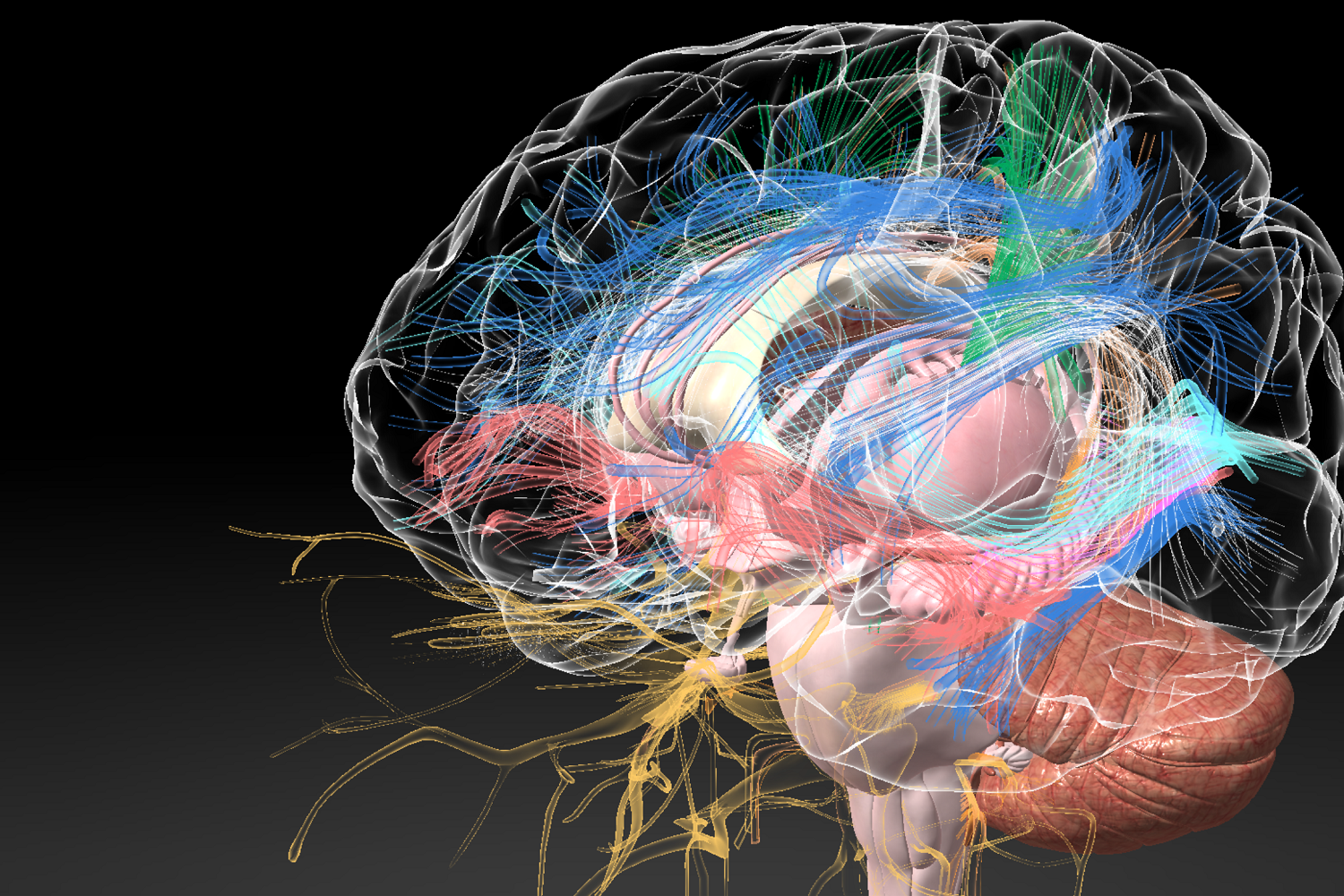 DICOMビューワー: eMma